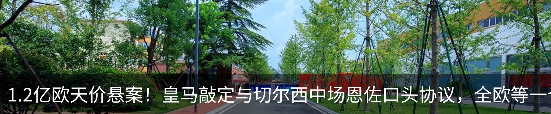 行业资讯